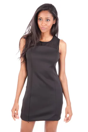 Mini Bodycon Mesh Dress